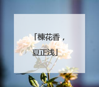 楝花香，夏正浅