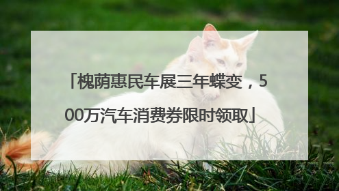 槐荫惠民车展三年蝶变，500万汽车消费券限时领取