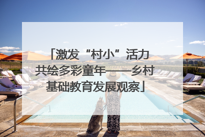 激发“村小”活力 共绘多彩童年——乡村基础教育发展观察