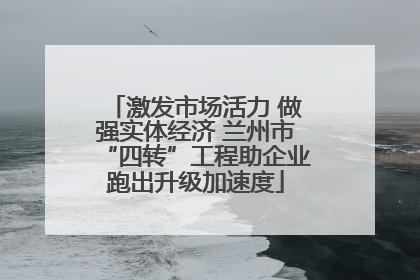 激发市场活力 做强实体经济 兰州市“四转”工程助企业跑出升级加速度