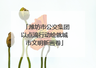 潍坊市公交集团以点滴行动绘就城市文明新画卷