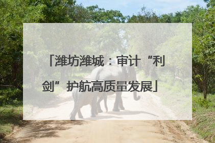 潍坊潍城：审计“利剑”护航高质量发展