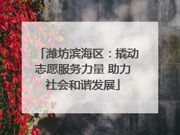 潍坊滨海区：撬动志愿服务力量 助力社会和谐发展