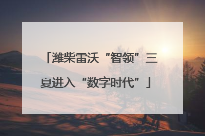 潍柴雷沃“智领”三夏进入“数字时代”