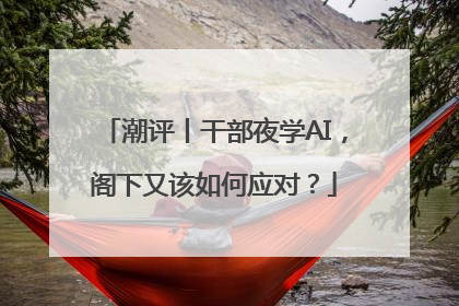 潮评丨干部夜学AI，阁下又该如何应对？