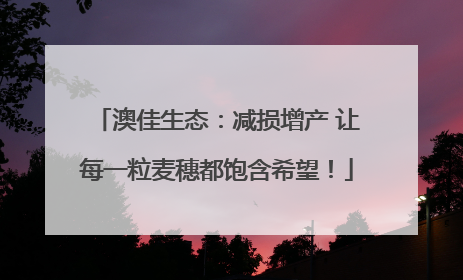 澳佳生态：减损增产 让每一粒麦穗都饱含希望！