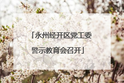 永州经开区党工委警示教育会召开