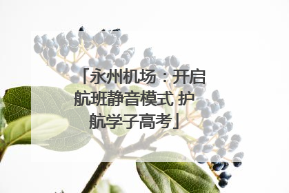 永州机场：开启航班静音模式 护航学子高考