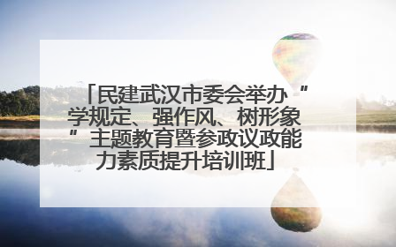 民建武汉市委会举办“学规定、强作风、树形象”主题教育暨参政议政能力素质提升培训班