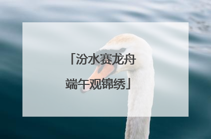汾水赛龙舟 端午观锦绣