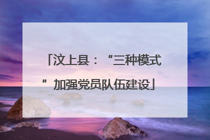 汶上县：“三种模式”加强党员队伍建设