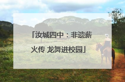 汝城四中：非遗薪火传 龙舞进校园