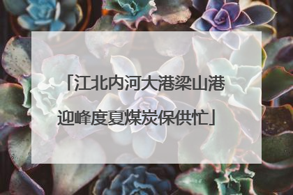 江北内河大港梁山港迎峰度夏煤炭保供忙
