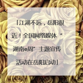 江湖不远，岳阳很近！全国网络媒体“湖南e周”主题宣传活动在岳阳启动