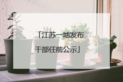 江苏一地发布干部任前公示