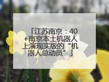 江苏南京：40+南京本土机器人上演现实版的“机器人总动员”