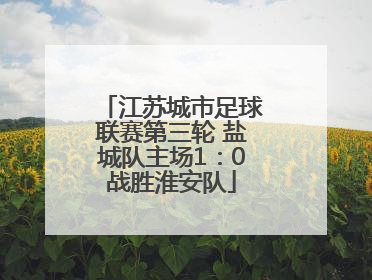 江苏城市足球联赛第三轮 盐城队主场1：0战胜淮安队