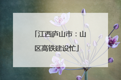 江西庐山市：山区高铁建设忙