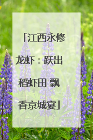 江西永修龙虾：跃出稻虾田 飘香京城宴