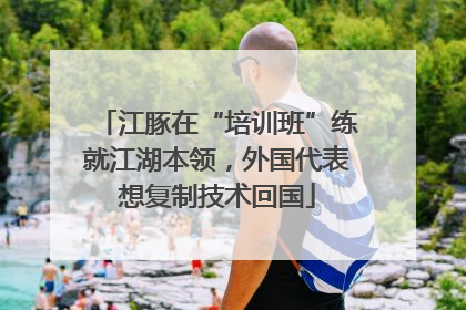 江豚在“培训班”练就江湖本领，外国代表想复制技术回国