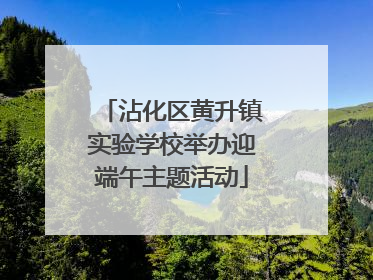 沾化区黄升镇实验学校举办迎端午主题活动
