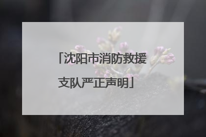 沈阳市消防救援支队严正声明