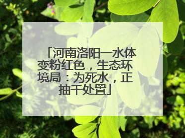 河南洛阳一水体变粉红色，生态环境局：为死水，正抽干处置