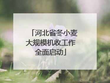 河北省冬小麦大规模机收工作全面启动