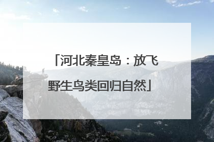 河北秦皇岛：放飞野生鸟类回归自然