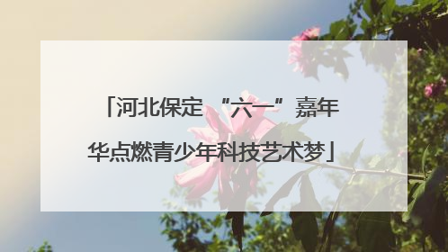 河北保定 “六一”嘉年华点燃青少年科技艺术梦