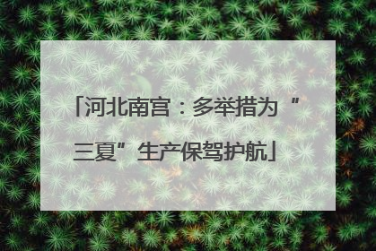 河北南宫：多举措为“三夏”生产保驾护航