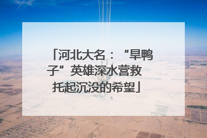 河北大名：“旱鸭子”英雄深水营救 托起沉没的希望