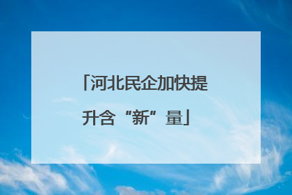 河北民企加快提升含“新”量