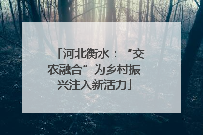 河北衡水：“交农融合”为乡村振兴注入新活力