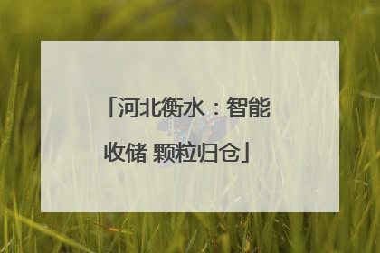 河北衡水：智能收储 颗粒归仓