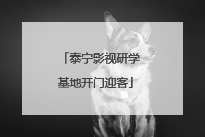 泰宁影视研学基地开门迎客
