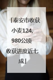 泰安市收获小麦124,980公顷 收获进度近七成