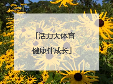活力大体育 健康伴成长