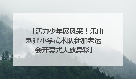 活力少年展风采！乐山新建小学武术队参加老运会开幕式大放异彩
