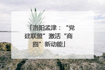洛阳孟津：“党建联盟”激活“商圈”新动能