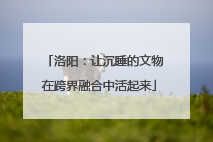洛阳：让沉睡的文物在跨界融合中活起来