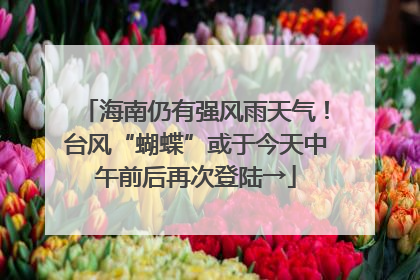 海南仍有强风雨天气！台风“蝴蝶”或于今天中午前后再次登陆→