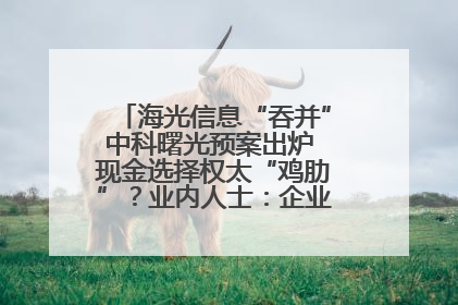 海光信息“吞并”中科曙光预案出炉 现金选择权太“鸡肋”？业内人士：企业不想大量现金流出
