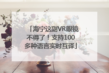 海宁这副VR眼镜不得了！支持100多种语言实时互译