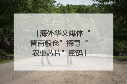 海外华文媒体“晋南粮仓”探寻“农业芯片”密码