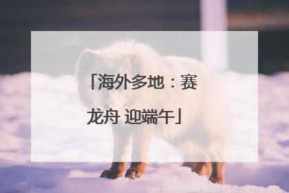 海外多地：赛龙舟 迎端午