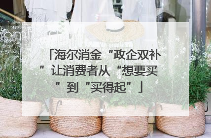 海尔消金“政企双补”让消费者从“想要买”到“买得起”