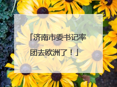 济南市委书记率团去欧洲了！
