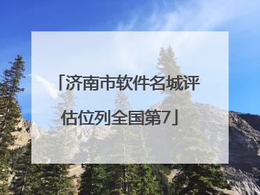 济南市软件名城评估位列全国第7