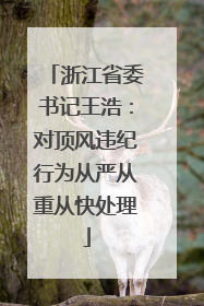 浙江省委书记王浩：对顶风违纪行为从严从重从快处理